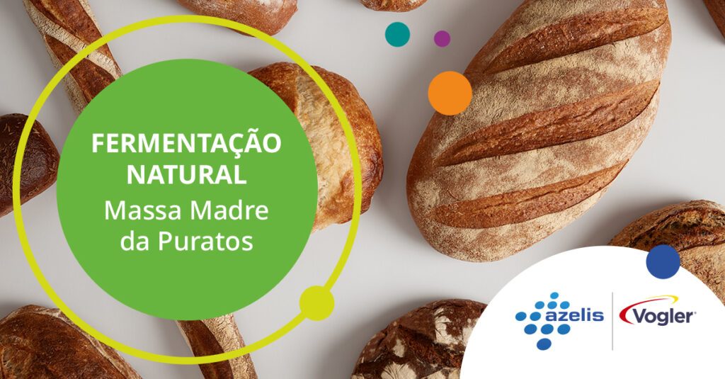Massa Madre para Pães de Qualidade: Natural e Saudável